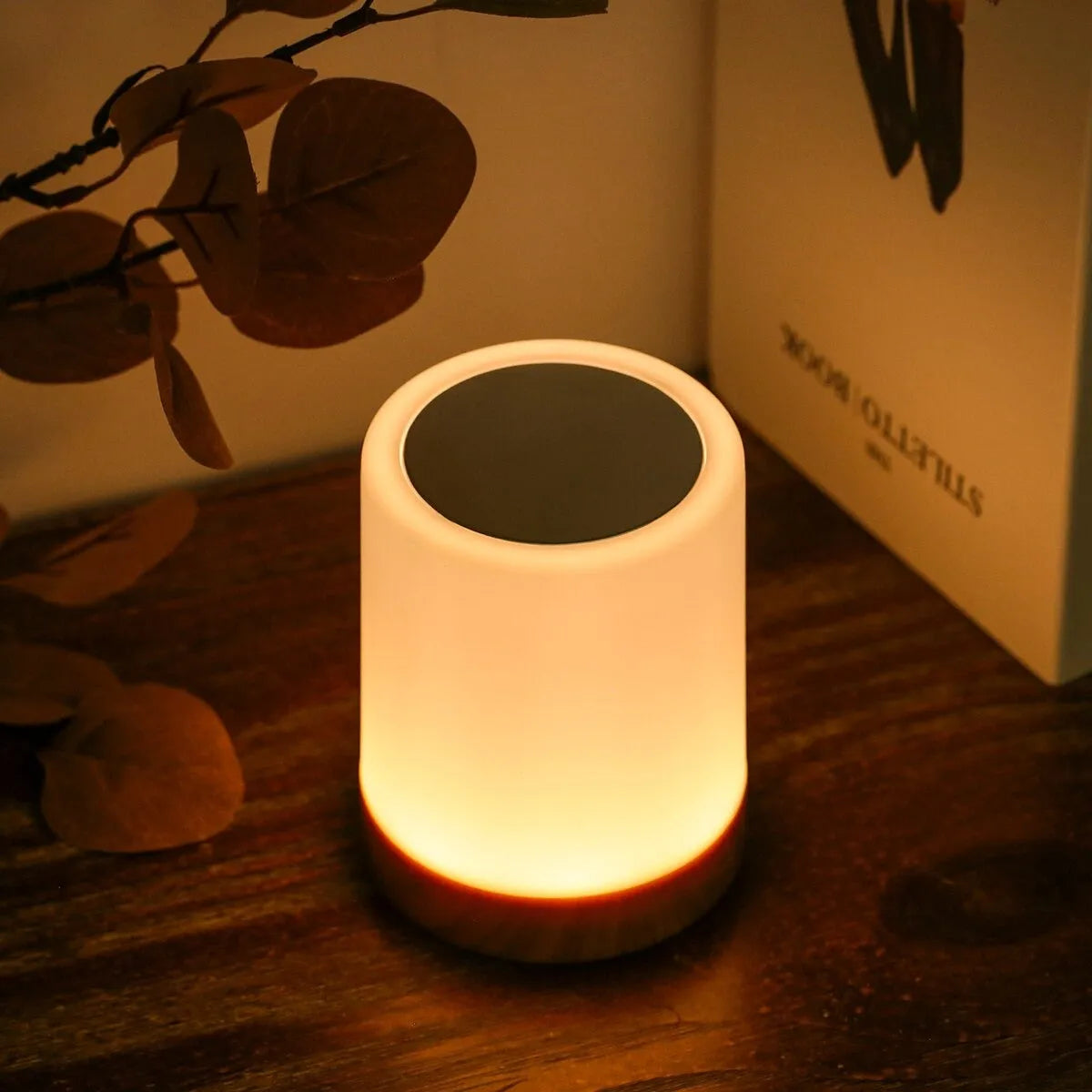 Kabellose Nachtischlampe mit Touch-Funktion